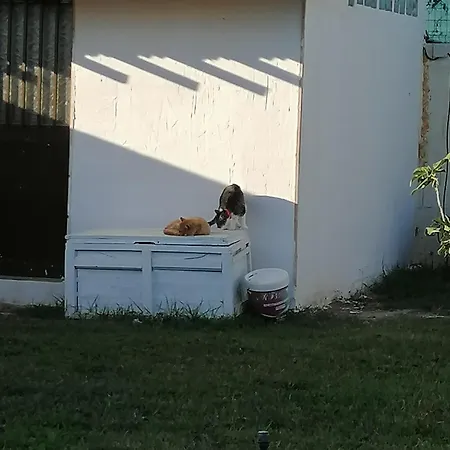Cabana El Salto Del Duende *